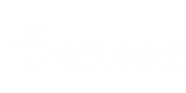 Big Network Indonesia
